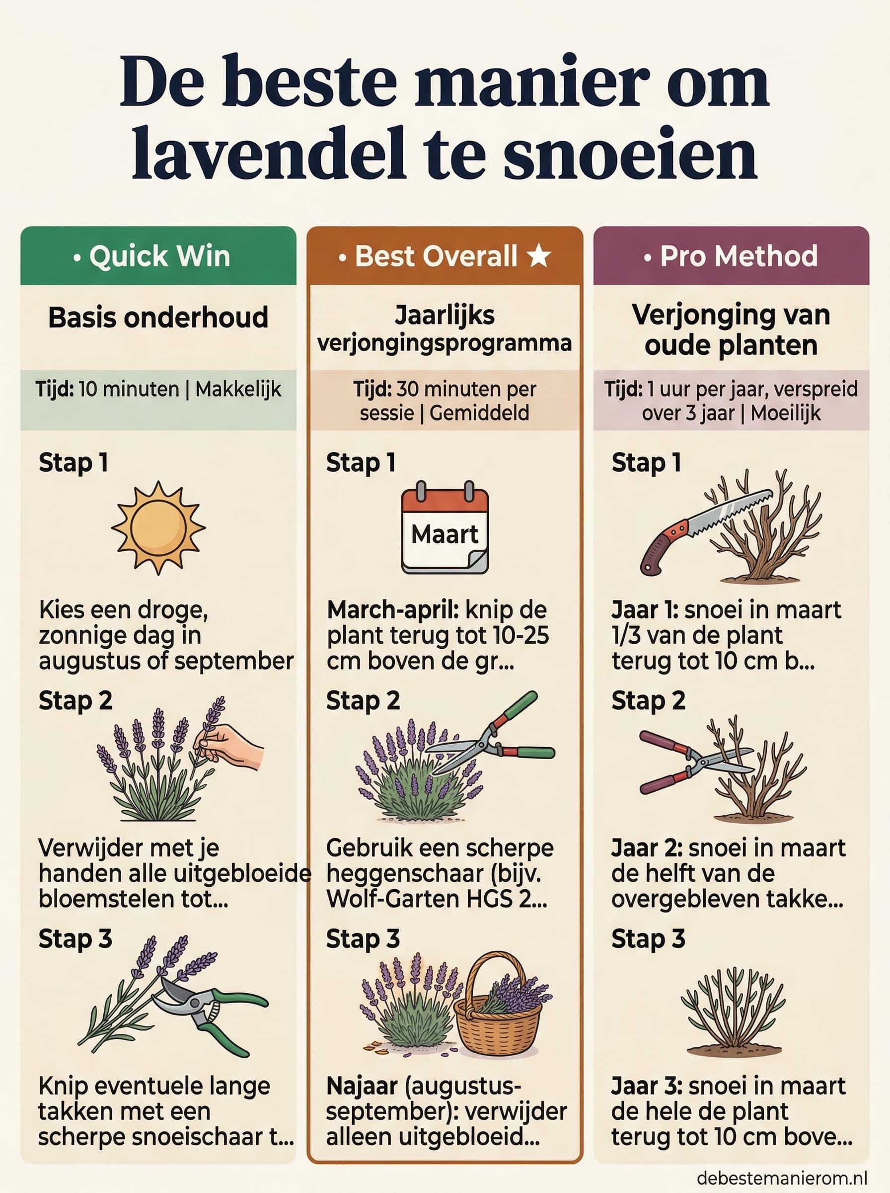 De beste manier om lavendel te snoeien